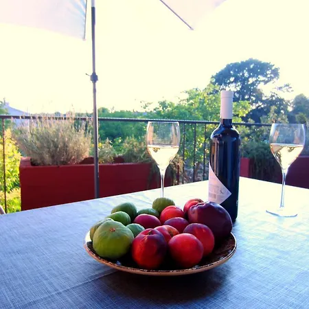 Relax & Enjoy -